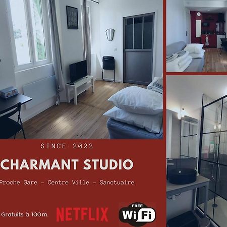 Charmant Studio Proche Centre Ville Et Gare Лурд Екстер'єр фото